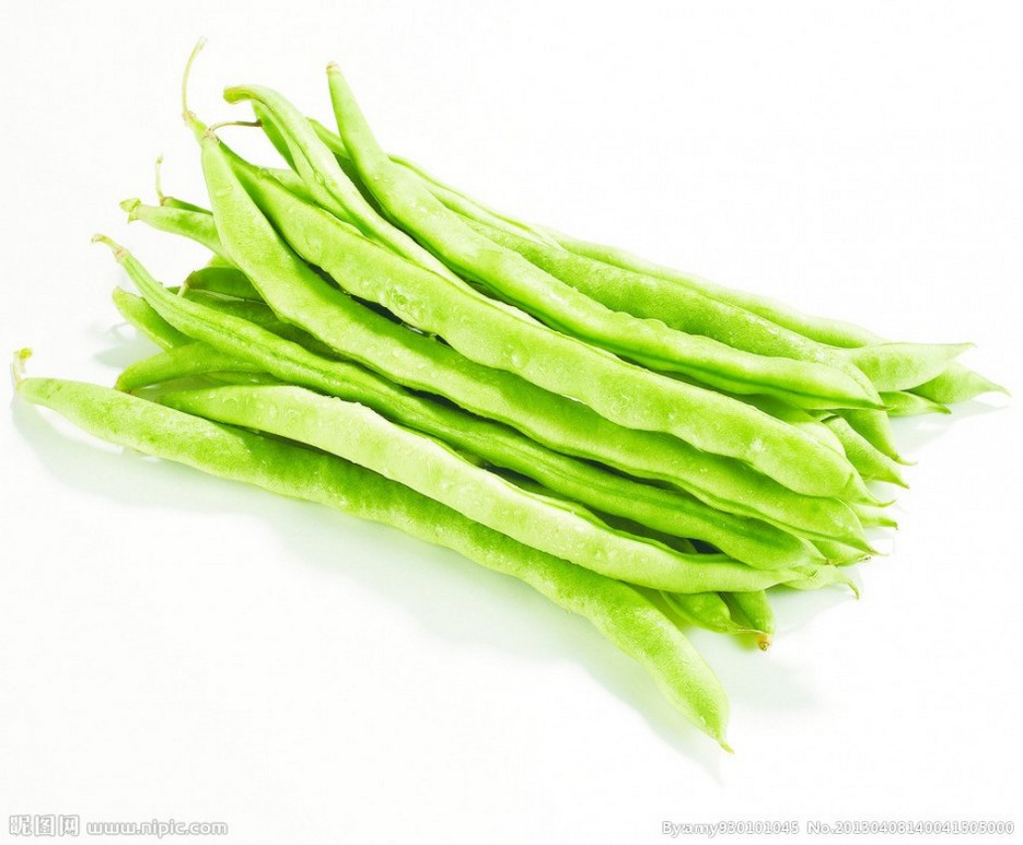 精选翠绿色的四季豆蔬菜植物图片