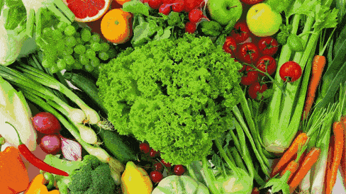 什么是无公害蔬菜 绿色蔬菜 有机蔬菜