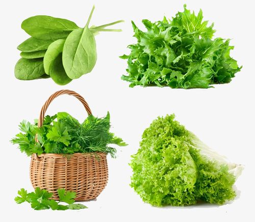 关键词 : 绿色蔬菜图片,蔬菜素材,绿色,食品素材