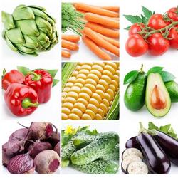 西安蔬菜配送 袋鼠农产品销售 在线咨询 蔬菜配送