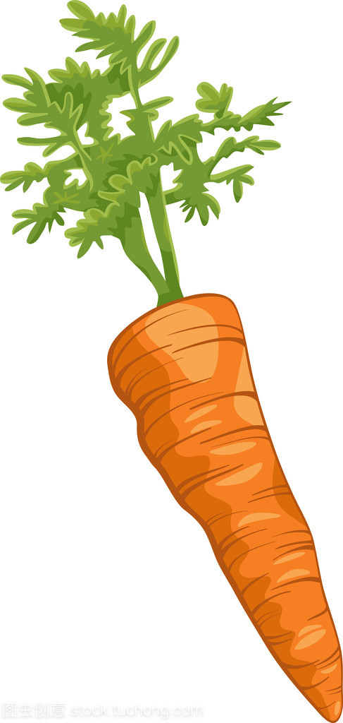 胡萝卜根蔬菜卡通插图